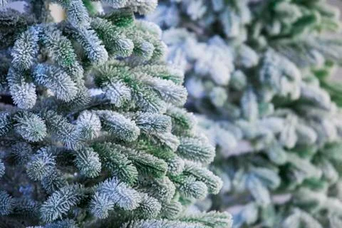 Christmas background. An artificial tree. New year Stock Photos