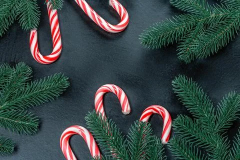 Christmas background with Christmas tree branches and cane candies Stock Photos
