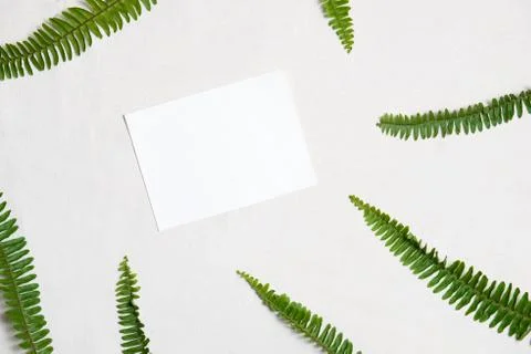 Christmas background with copy space composition Stock Photos