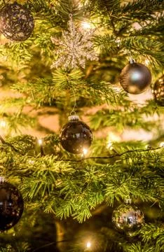 Christmas background of de-focused lights decorated tree illuminated moody Stock Photos
