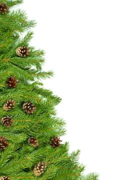 Christmas background. Eve framework Stock Photos