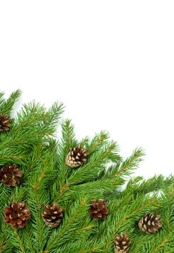 Christmas background. Eve framework Stock Photos