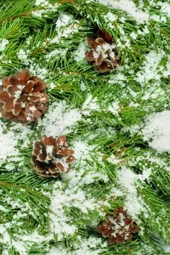 Christmas background. Eve framework Stock Photos