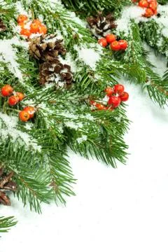 Christmas background. Eve framework Stock Photos