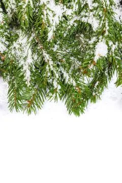 Christmas background. eve framework Stock Photos