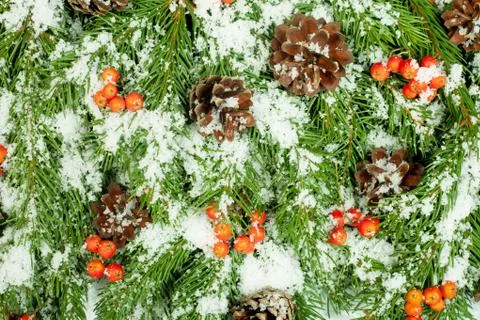 Christmas background. Eve framework Stock Photos
