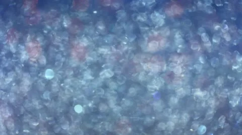 Christmas background Stock Footage 8945015