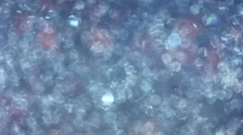 Christmas background Stock Footage 8945040