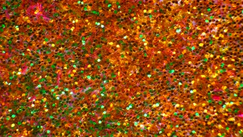 Christmas Background Vídeo Stock 169434858