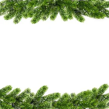 Christmas background with green Pine Branches. Vector Stock Illustration