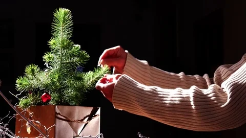 Christmas background - Hands decorating a pine tree. - 4 k Stock Footage 76721097