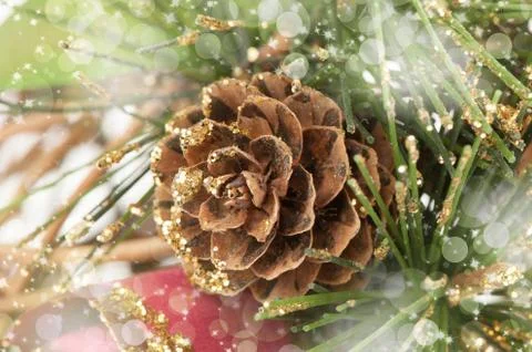 Christmas background Stock Photos