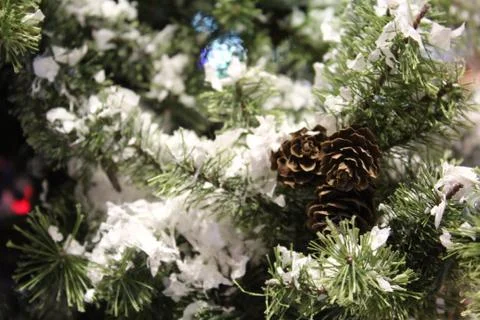 Christmas background Stock Photos