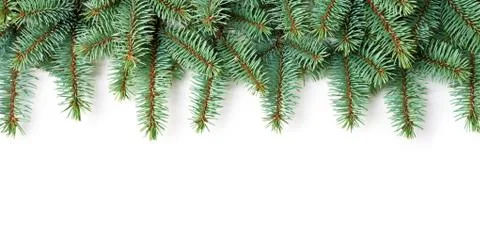 Christmas background Stock Photos