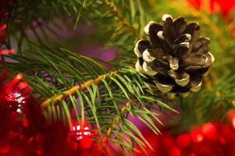 Christmas background Stock Photos