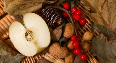 Christmas background Stock Photos