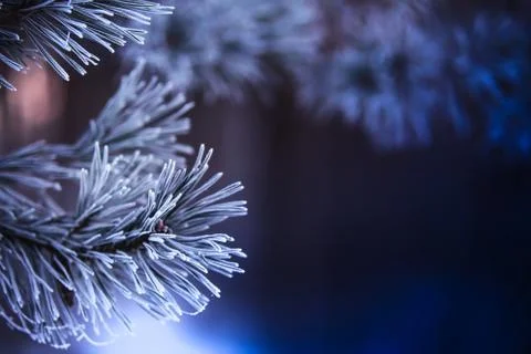 Christmas background Foto stock