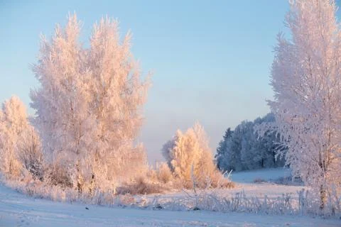 Christmas background Stock Photos