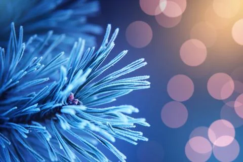 Christmas background Foto stock