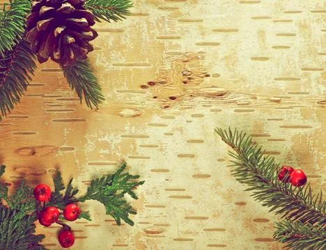 Christmas background. Stock Photos