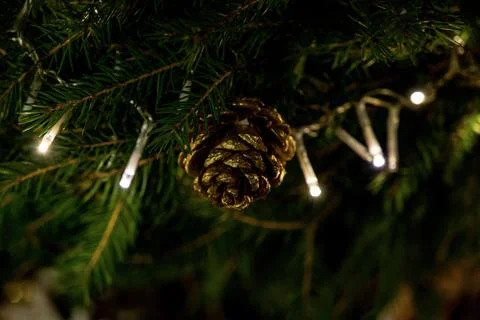 Christmas background Stock Photos