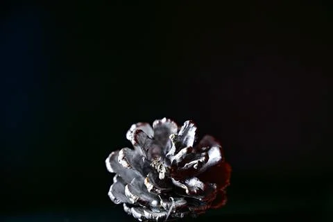 Christmas background Stock Photos