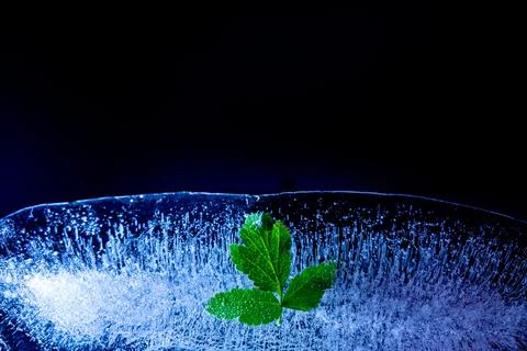 Christmas background Stock Photos