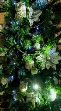 Christmas background Stock Photos