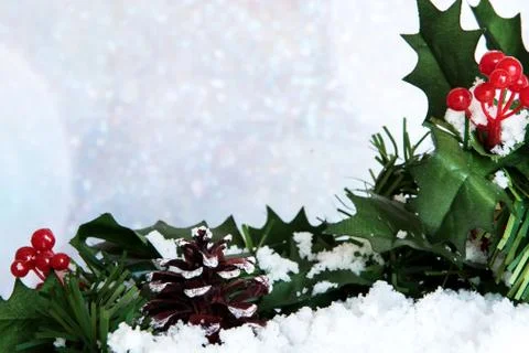 Christmas background with pine branches, red flowers, cones and mistletoe Stock Photos