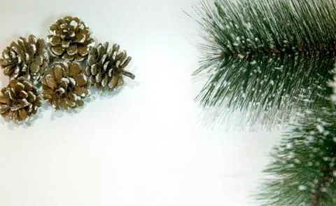 Christmas background with pine cones and Christmas tree branch Stock Photos