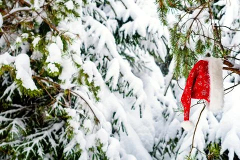 Christmas background with snow tree in red Santa hat. Stock Photos