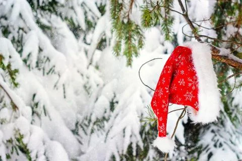 Christmas background with snow tree in red Santa hat. Stock Photos