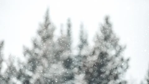 Christmas Background Snowfall Loop Particle Animation Stock Footage 223567009