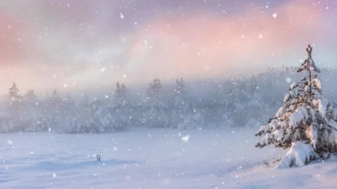 Christmas Background Snowfall Loop Particle Animation Stock Footage 224014796