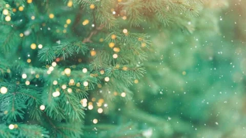 Christmas Background Snowfall Loop Particle Animation Stock Footage 224014934