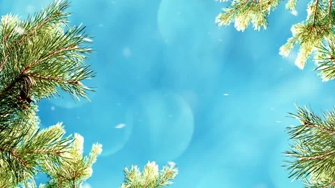 Christmas  background with snowy tree branches Stock Footage 94998812