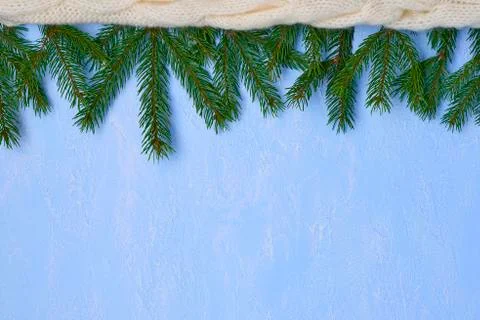 Christmas background from  spruce branches, knitted fabric on blue decorative Stock Photos