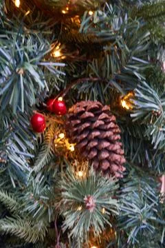 Christmas background with tree branches Stock Photos