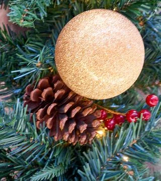 Christmas background with tree branches Stock Photos