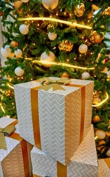 Christmas background with tree branches Stock Photos