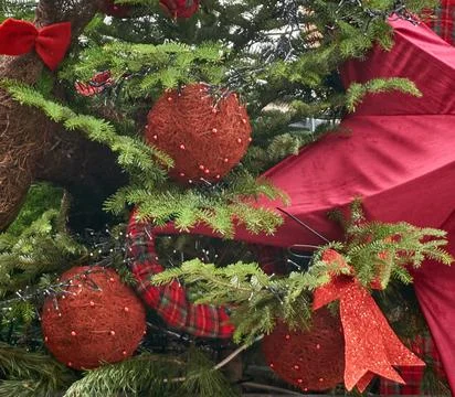 Christmas background with tree branches Stock Photos