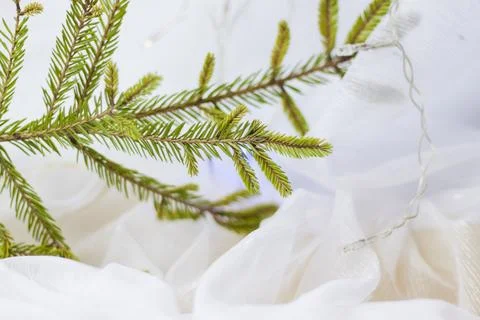 Christmas background with a twig if . Selective focus. the concept of Chris.. Stock Photos