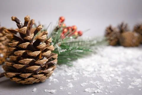 Christmas background with winter elements Pine cones, fir tree, red berries, Stock Photos