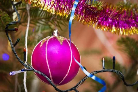 Christmas ball on a branch Stock Photos