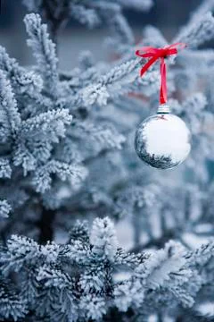 Christmas ball Stock Photos