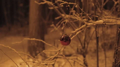 Christmas ball on the tree branch.Tree covered with snow.Winter night in the Vidéo 166683595