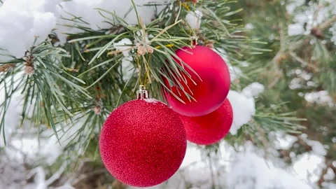 Christmas balls on a snowy pine tree, nature-inspired Christmas decor, holiday Stock Footage 314290296