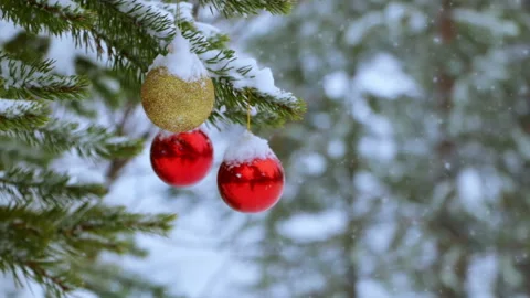 Christmas Balls on the Tree in the Forest and Snowfall 動画素材 106485116