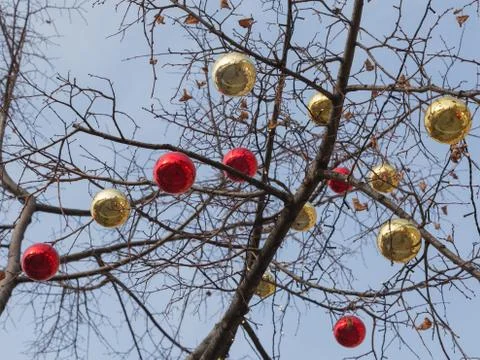 Christmas balls on the tree Stock Photos
