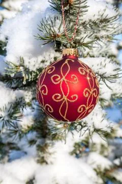 Christmas bauble on a pine tree Stock Photos